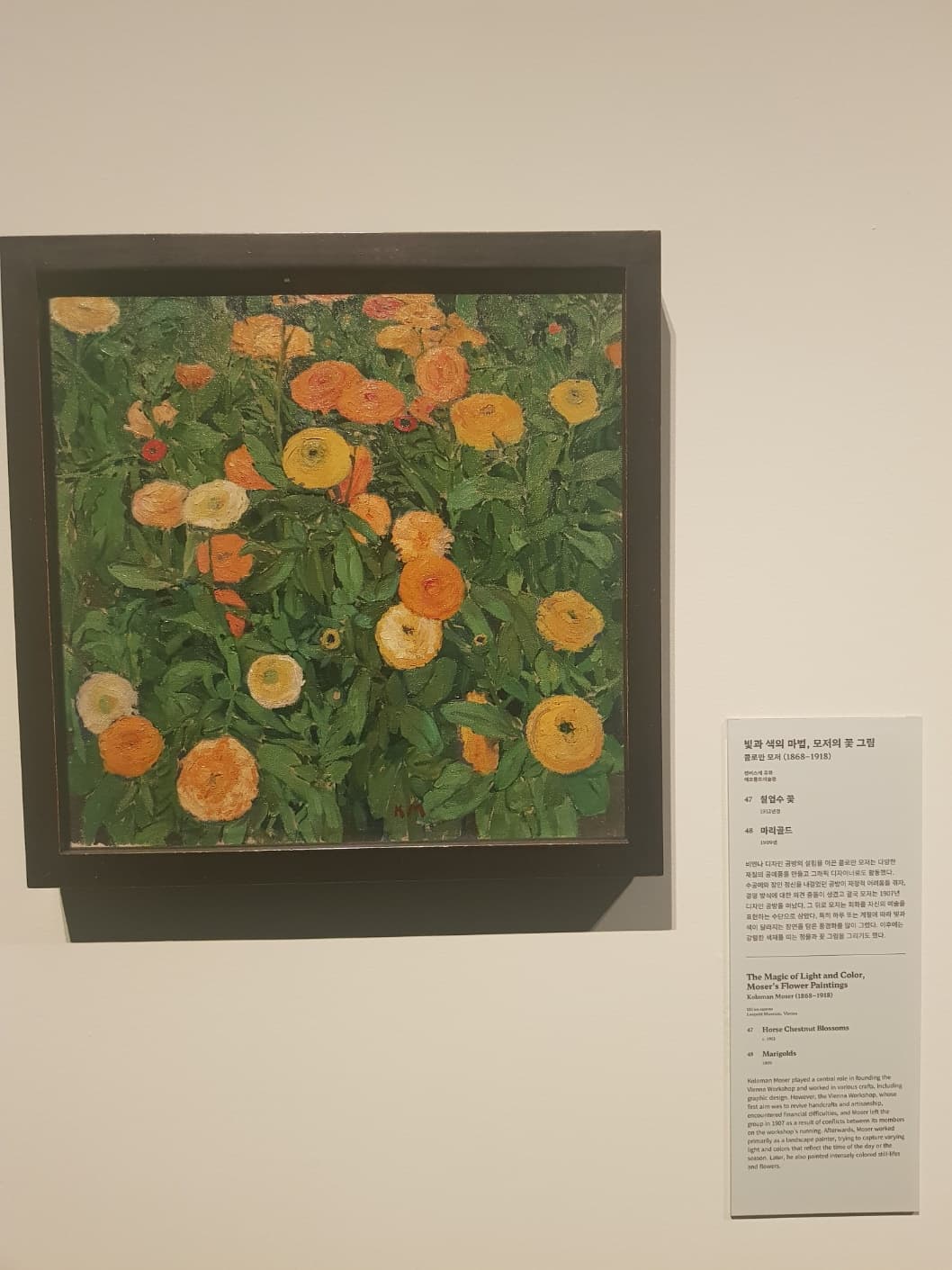 비엔나 분리파 006