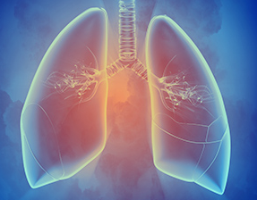 폐에 습도를 주는 이미지