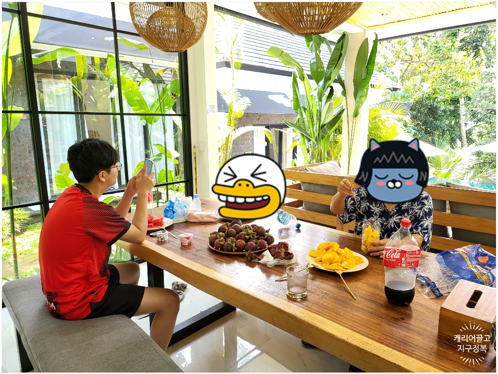망고스틴 조식