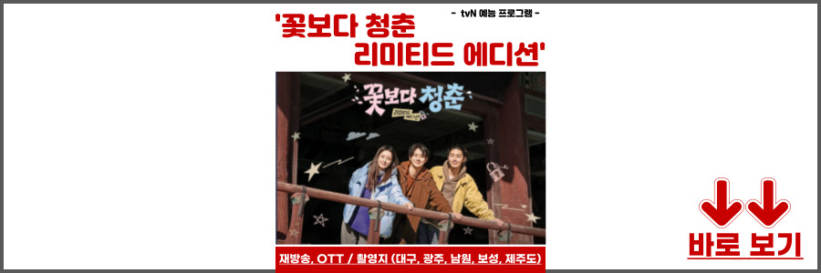꽃보다 청춘 리미티드 에디션