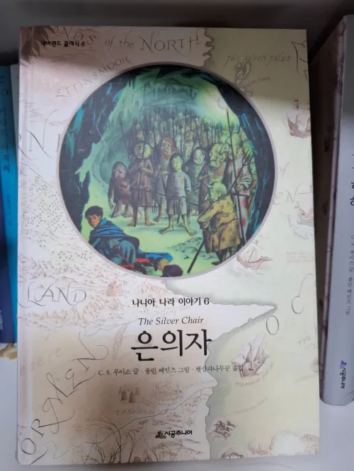 어두운 지하 홀에서 뜨거운 불길을 밟으며 최면을 깨뜨리는 마슈글과 그 뒤로 부서진 은의자. 달콤한 거짓을 거부하고 지적 자립을 선택하는 고귀한 고통의 시각화. (A tall, thin figure stepping into a glowing green fireplace in a dark underground hall, breaking a spell, with a silver chair shattered in the background, visualizing the recovery of intellectual sovereignty.)