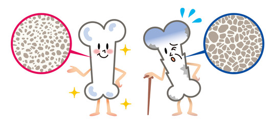 흑염소진액 효능과 흑염소진액 추천 순위 TOP 5 - 네이버, 쿠팡, G마켓, 11번가 판매 분석