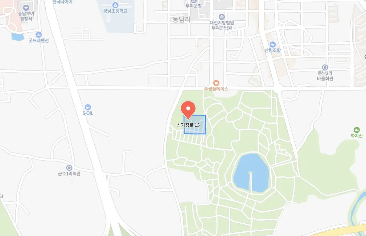 백제고도부여국화축제