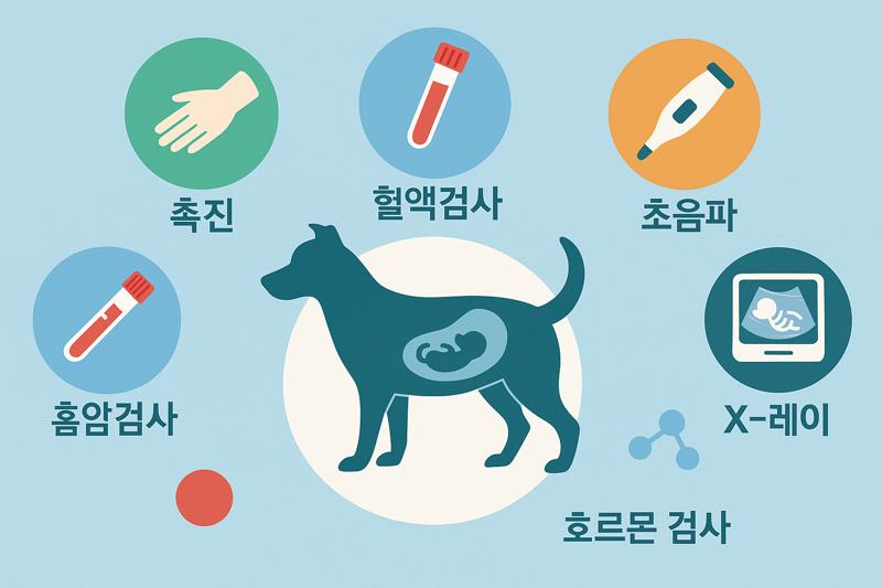 강아지 임신 진단법: 진단 중요성에 따른 혈액, 초음파, X-레이까지 단계별 진단