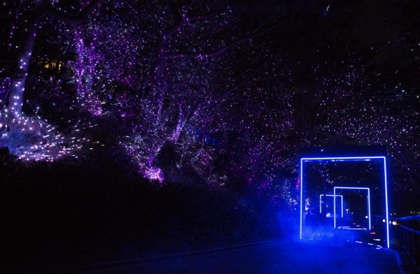 야간관광특화지구 선정 통영