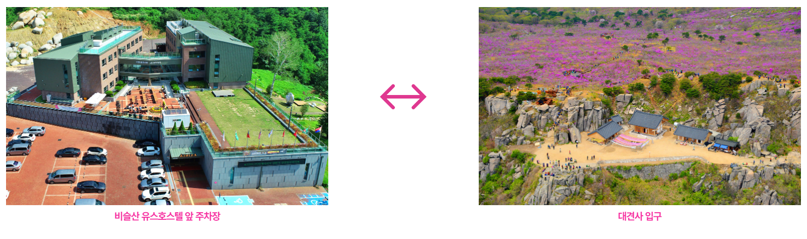 투어버스 운행구간