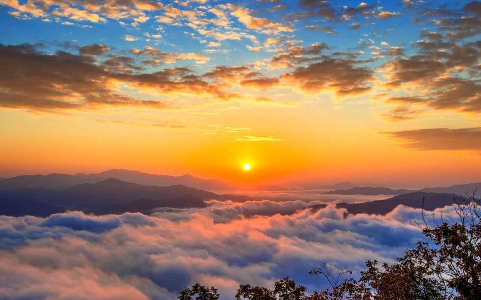 계묘년 새해인사말
2023년 새해인사
2023년 새해 인사말
새해 인사
새해 인사말