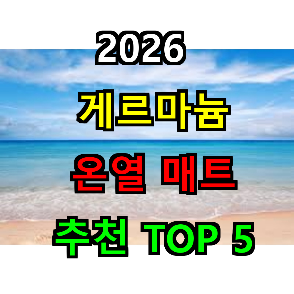 2026 게르마늄 온열매트 추천 TOP 5