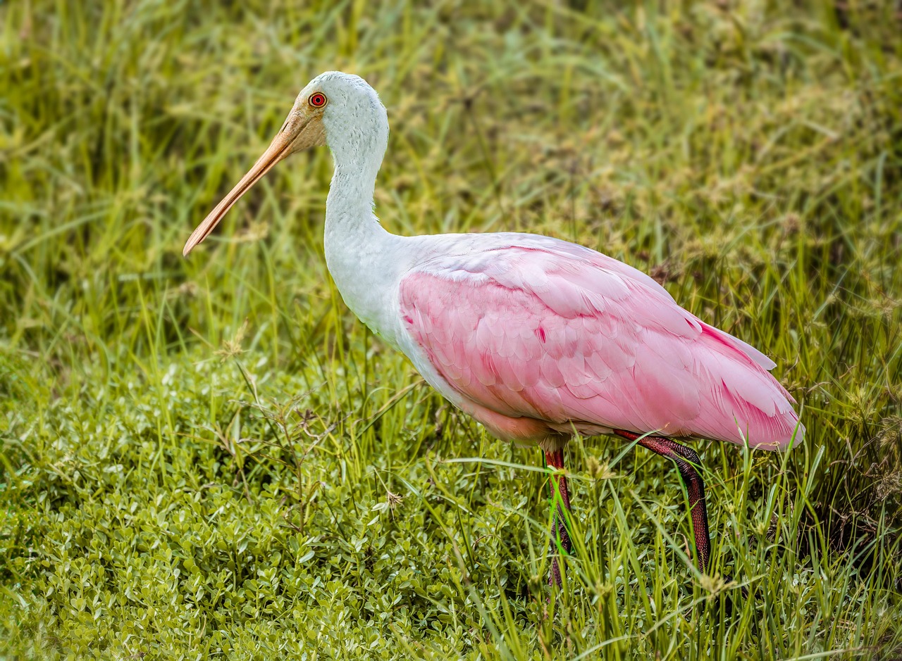 사회심리학 관점, 인간과 AI는 어떻게 상호작용 관련 사진
