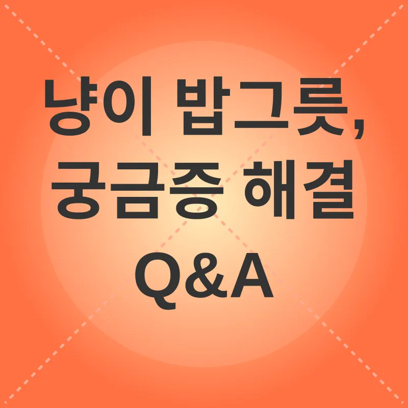 고양이 식단 관리_4