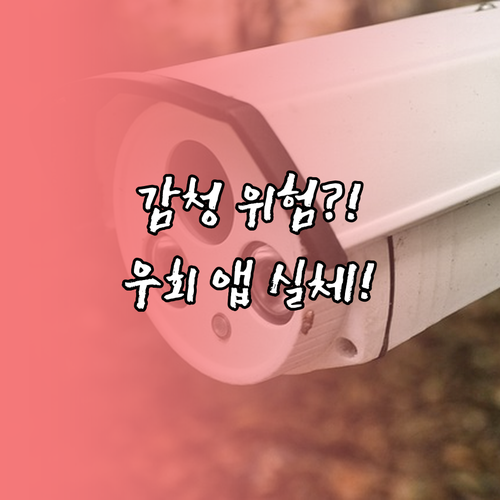 접속의 자유 뒤 숨겨진 우회 앱의 통..