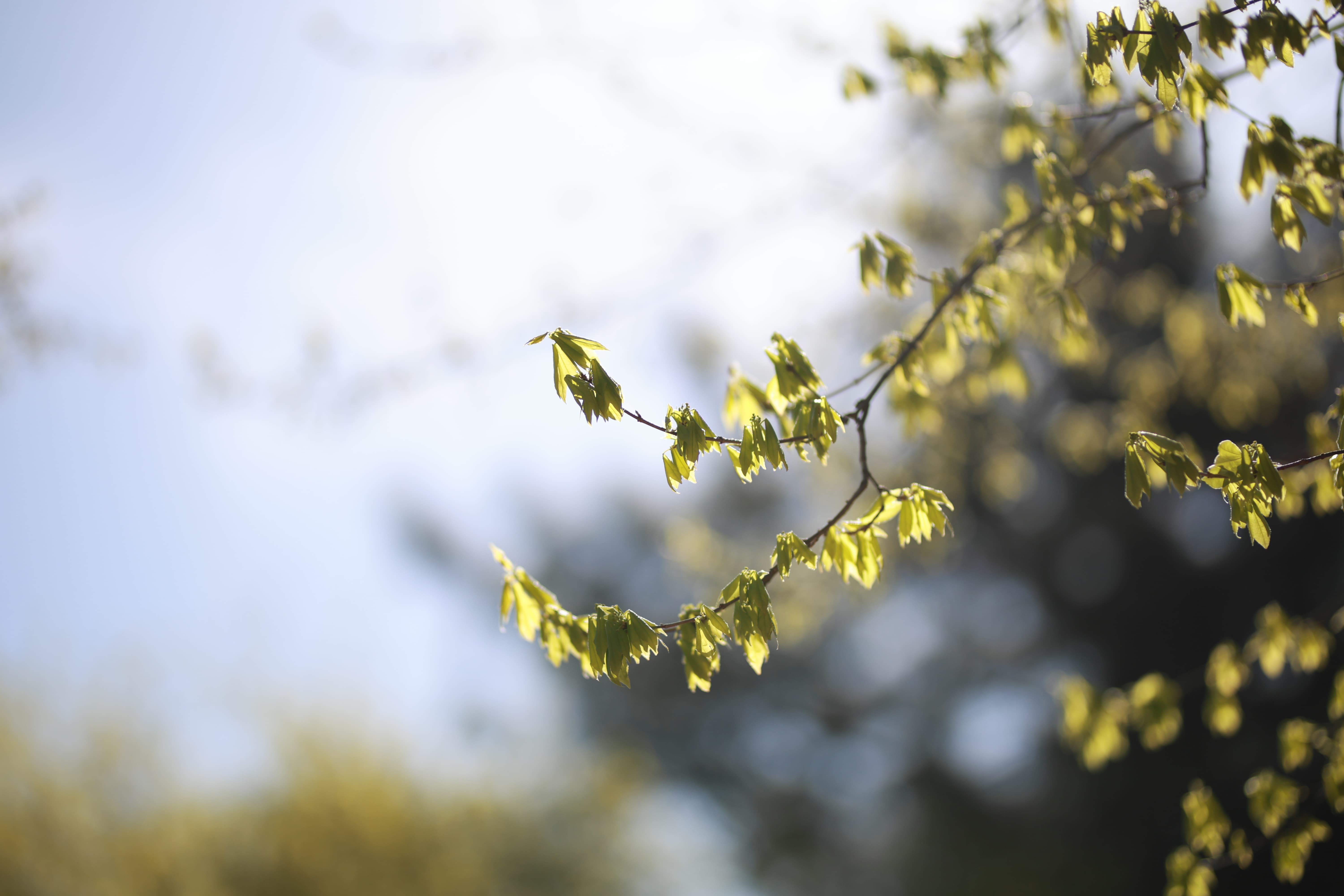 2025년 숲나들이 완벽 가이드