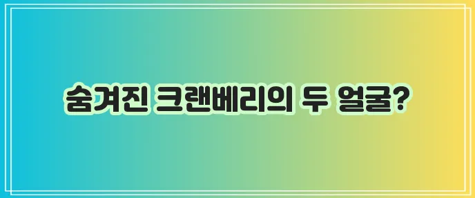크랜베리 효능과 부작용 꼭 알아봐야겠죠!
