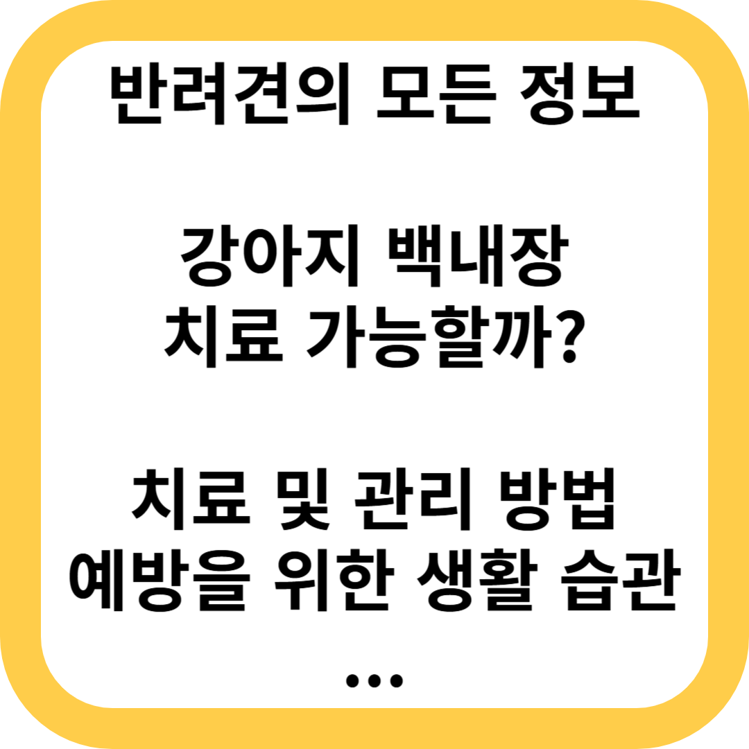 강아지 백내장 치료 가능할까?