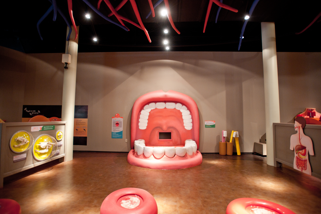 우리몸은 어떻게 전시장 입 체험