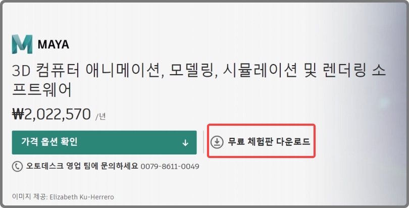 마야 2022 다운