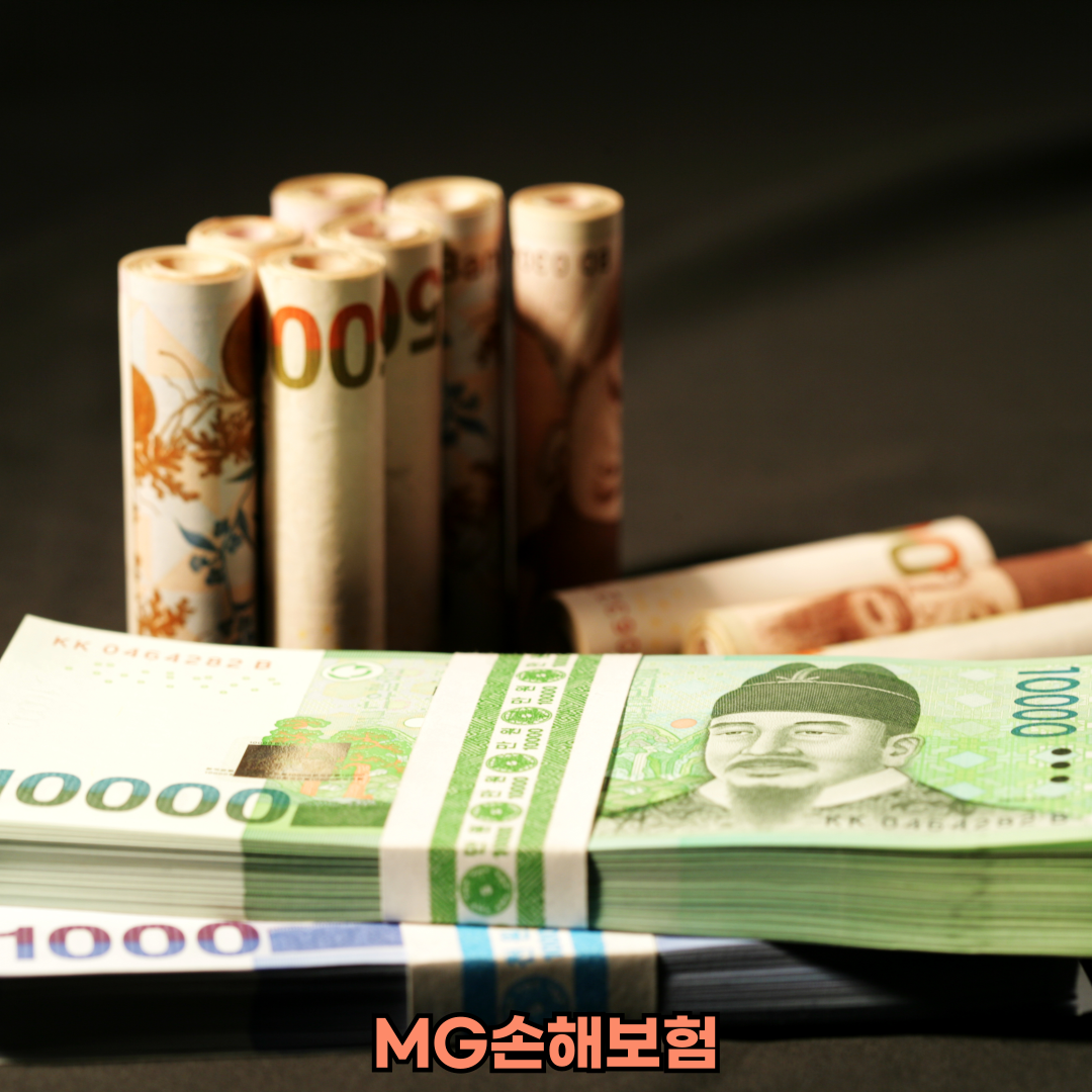 mg손해보험