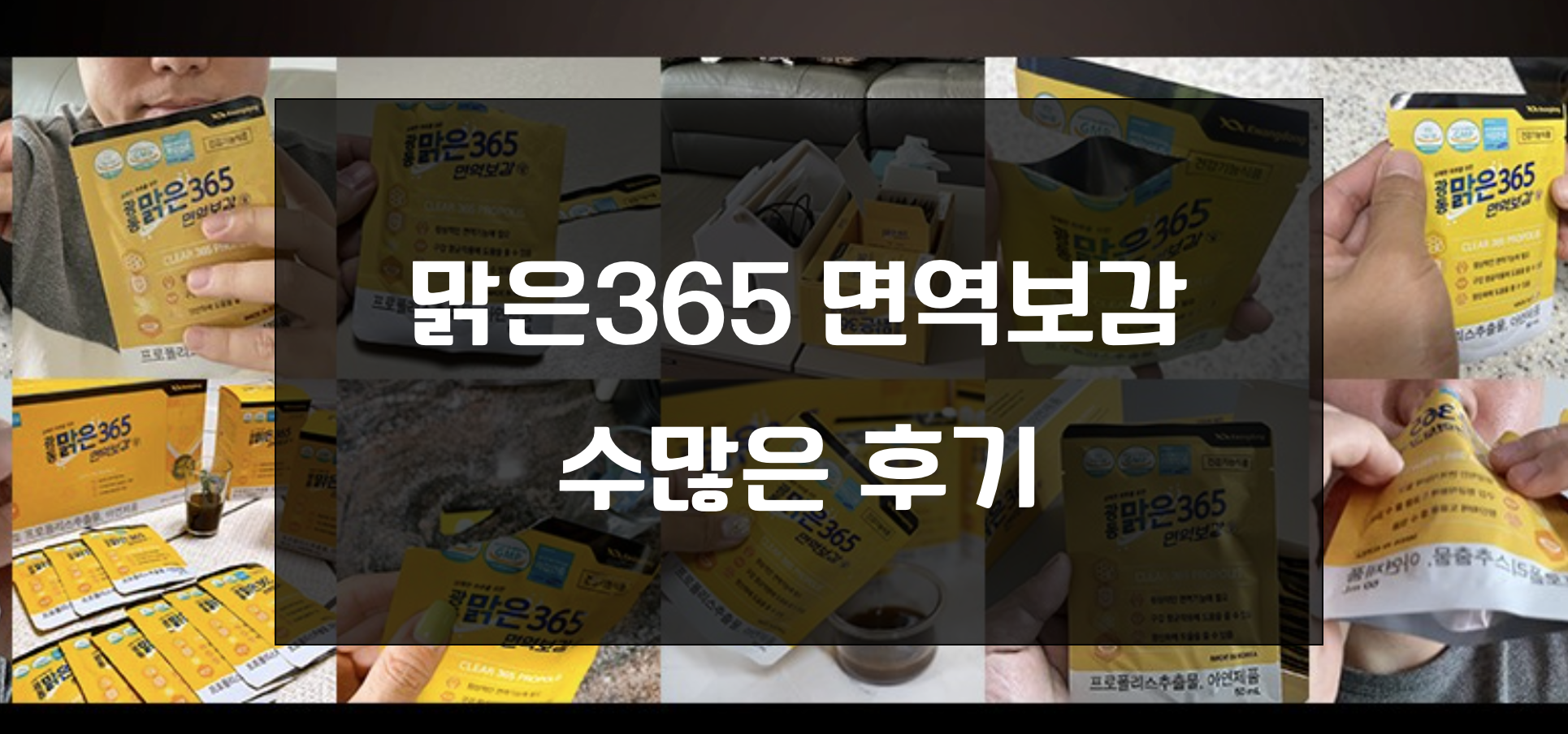 광동 맑은365 면역보감 후기