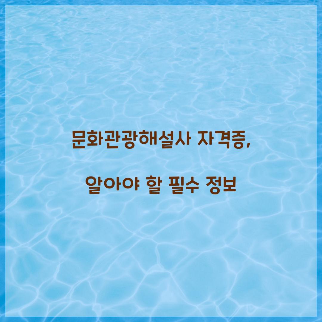 문화관광해설사 자격증