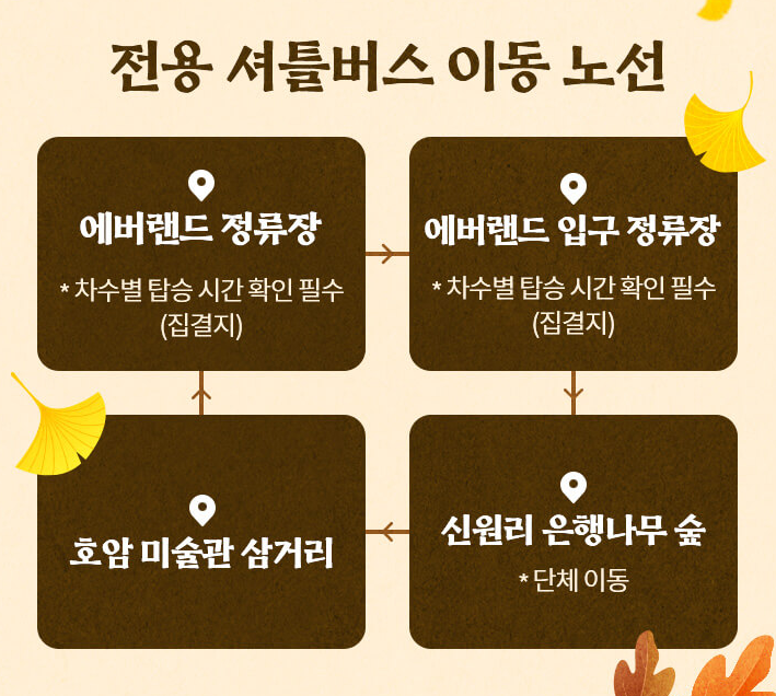 비밀의 은행나무 숲