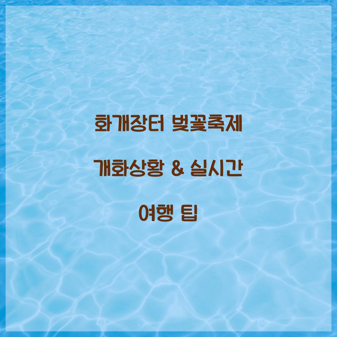 화개장터 벚꽃축제 개화상황