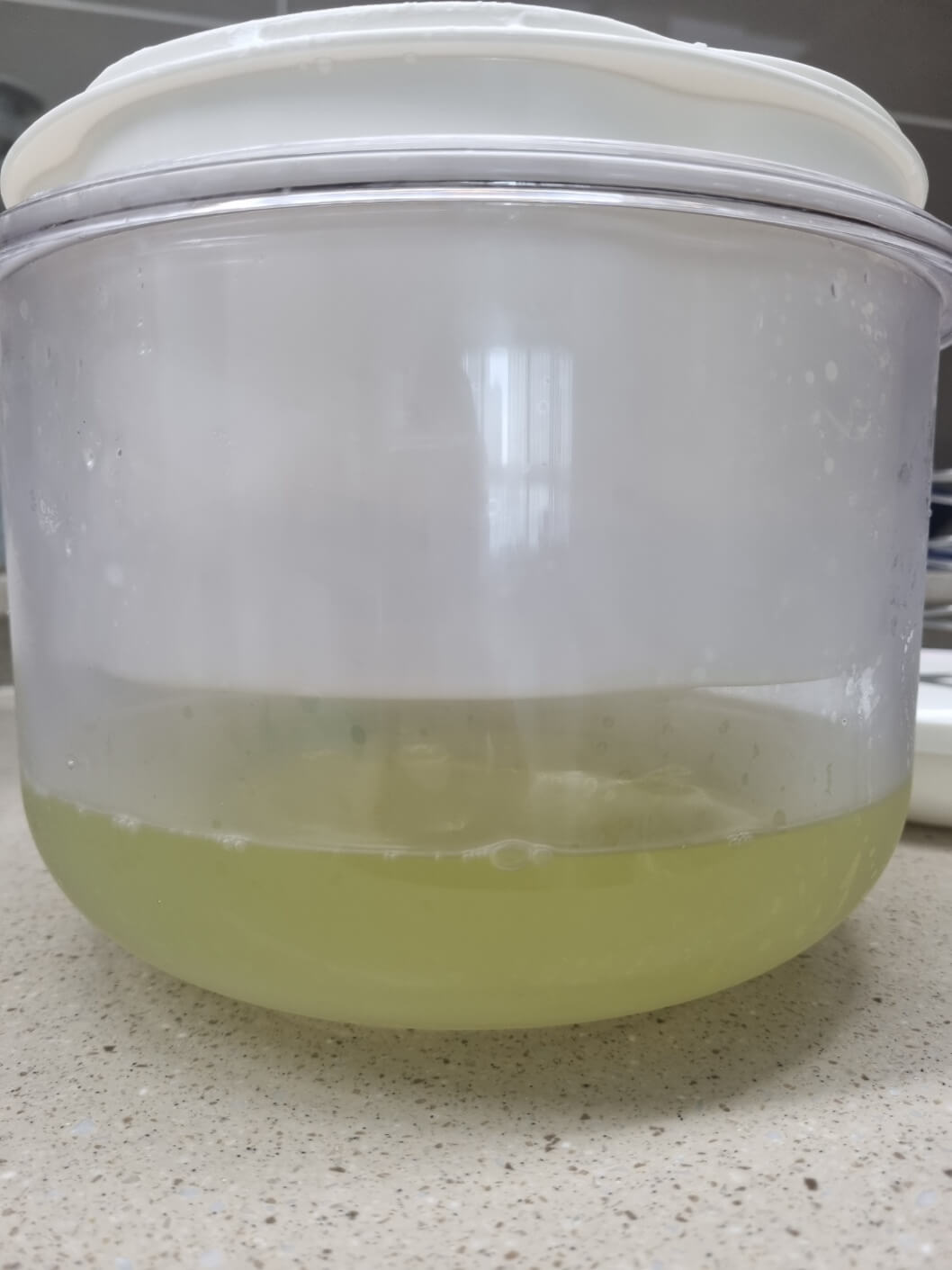 2차-유청빠져나옴