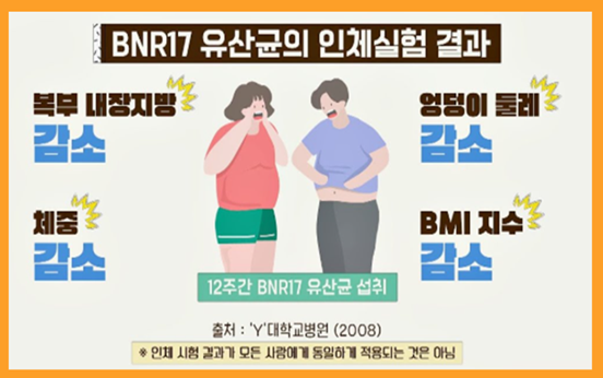 비엔알 17유산균, bnr17 유산균, 비앤날씬 유산균