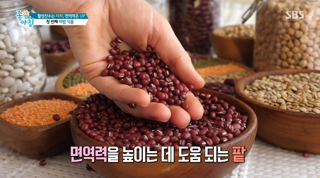 활성 산소 독소 배출 해독 팥 포항초