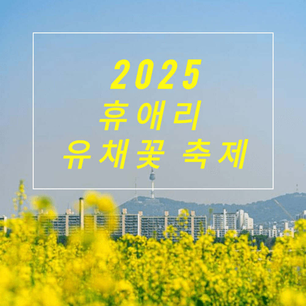 휴애리 유채꽃축제