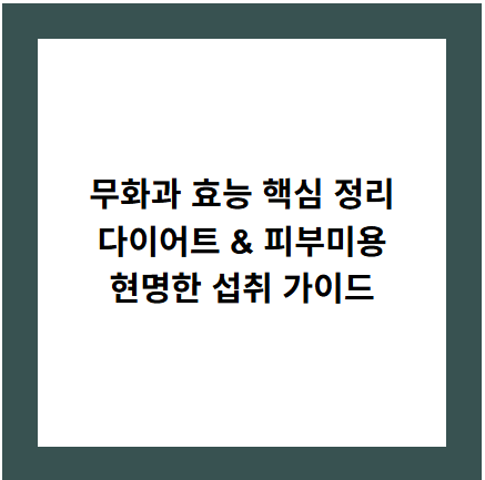 무화과 효능 핵심 정리
다이어트 &amp; 피부미용
현명한 섭취 가이드