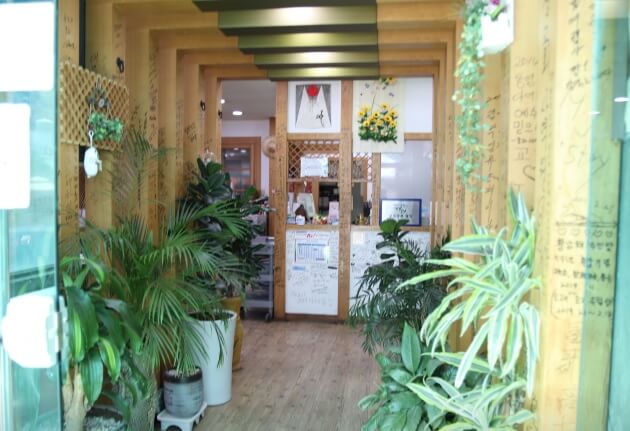 생방송투데이 투데이이슈 통영 굴요리 전문점 굴삼합 한마음 식당