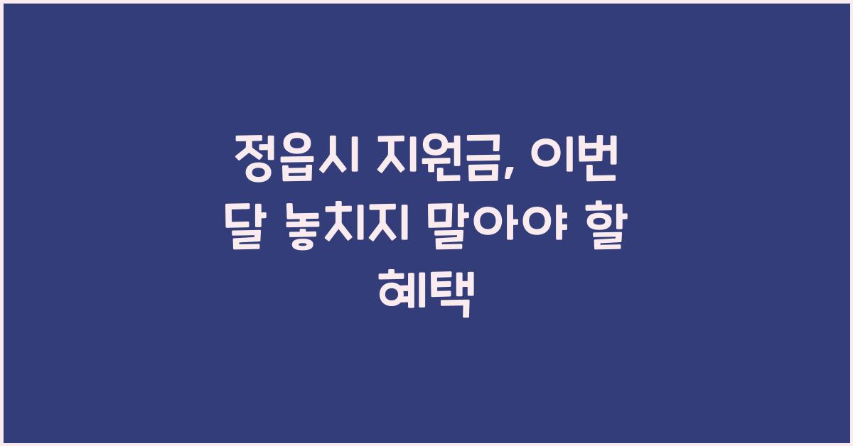 정읍시 지원금