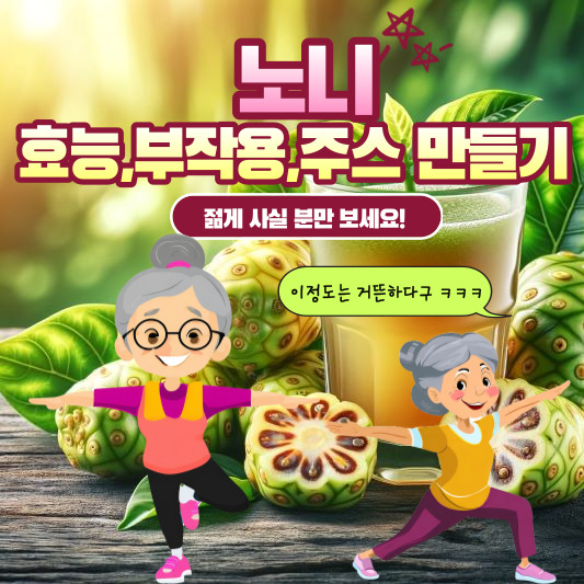 노니 효능