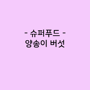 양송이 버섯의 영양소함량&#44; 건강에 미치는 영향&#44; 요리법
