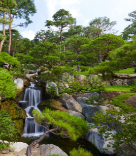 화담숲 예약 모노레일 예약 관람방법