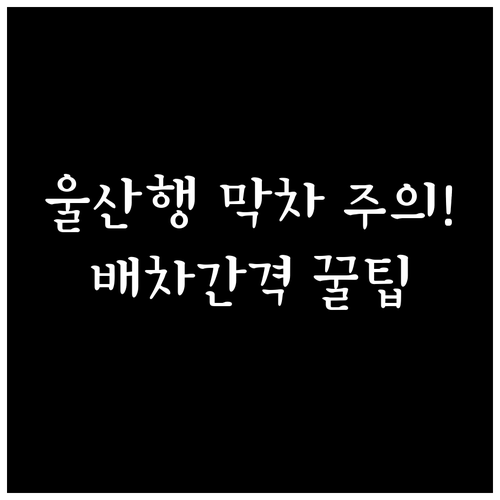 부전역 동해선 전철 배차 간격 및 울..