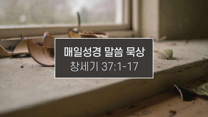 썸네일-깨어져-흩어진-도자기