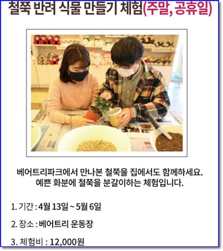 세종시 베어트리파크 입장료 할인 봄꽃 축제 가는길