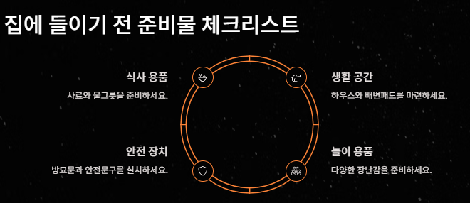 강아지 키우기: 초보견주를 위한 입분양부터 준비물 주의사항