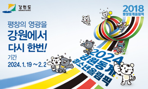 강원동계청소년올림픽