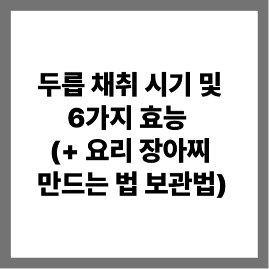 두릅 채취 시기 및 6가지 효능 (+ 요리 장아찌 만드는 법 보관법)
