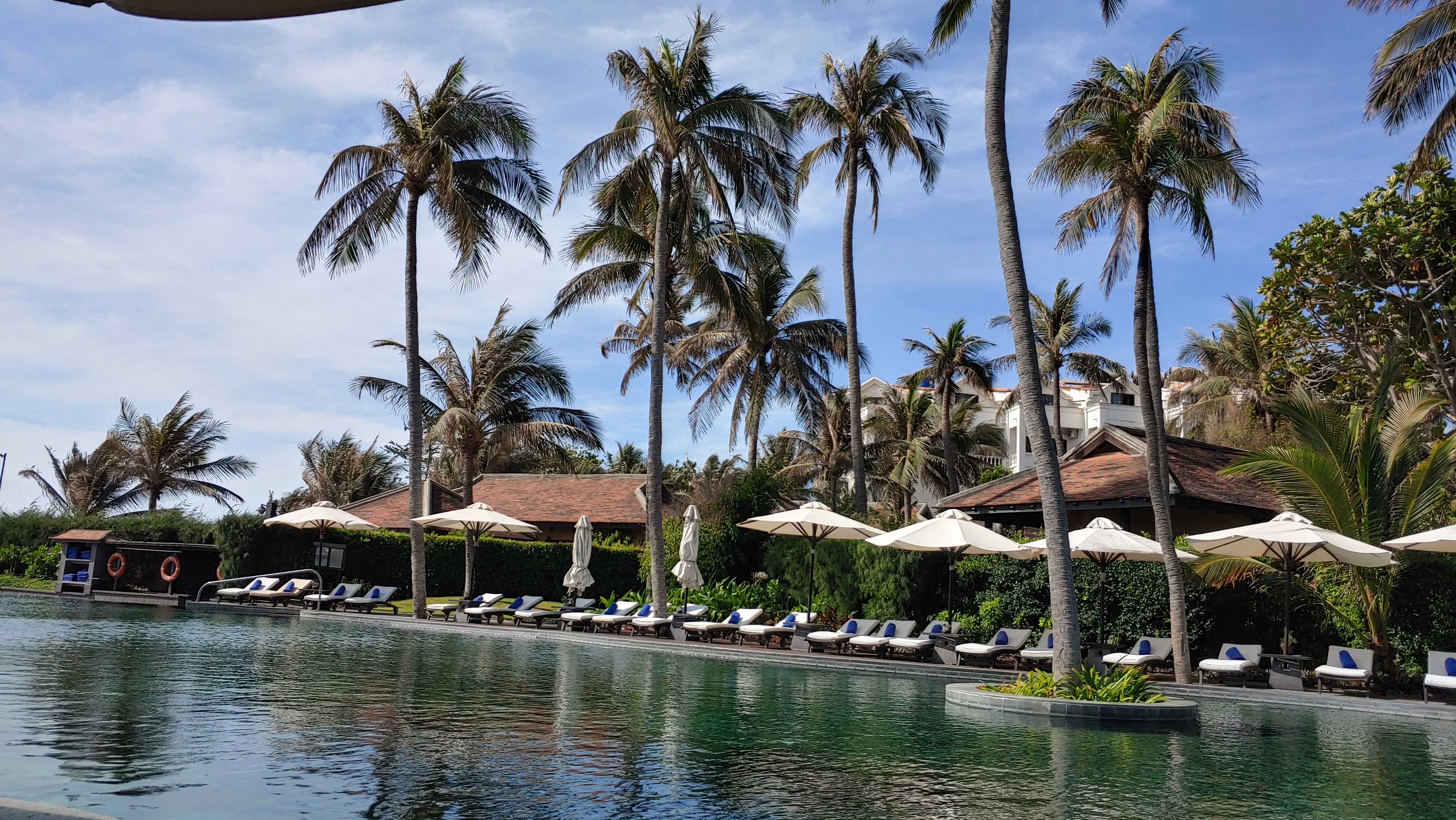 한가로운 수영장과 야자수