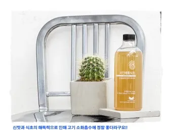 식초 복용법 정리 위장에 미치는 영향 총정리_21