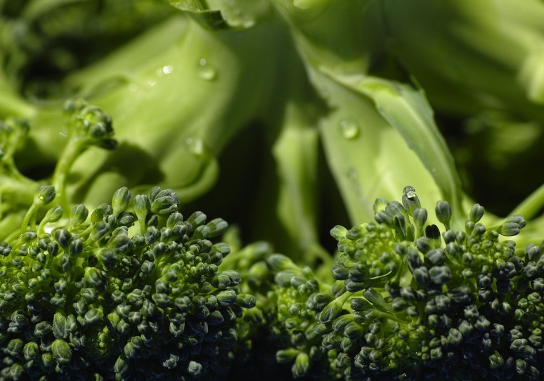 브로콜리 효능｜종류｜제철｜데치기｜브로콜리 보관｜씻는법｜먹는방법