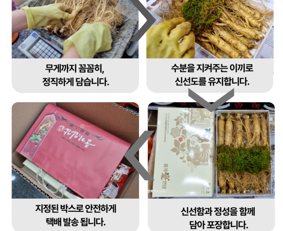 영주-풍기인삼-영주장날몰-