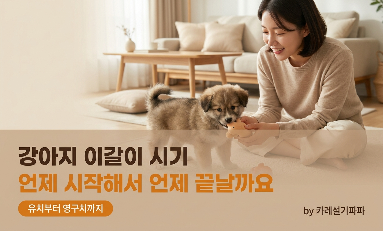 장난감 씹는 강아지를 지켜보는 여성