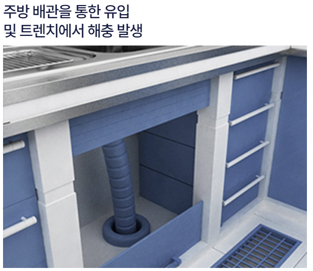 세스코 가정집 가격