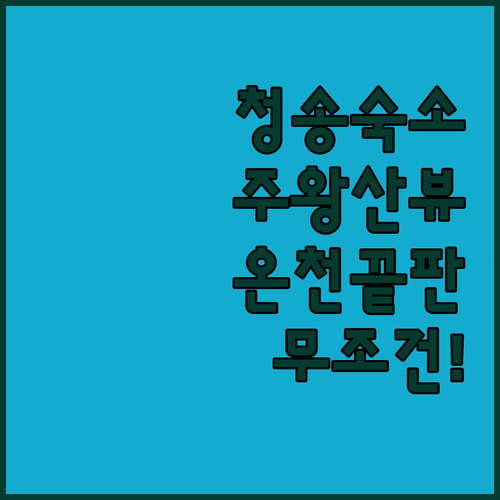 청송 숙소 추천 TOP 5 소노벨 주..