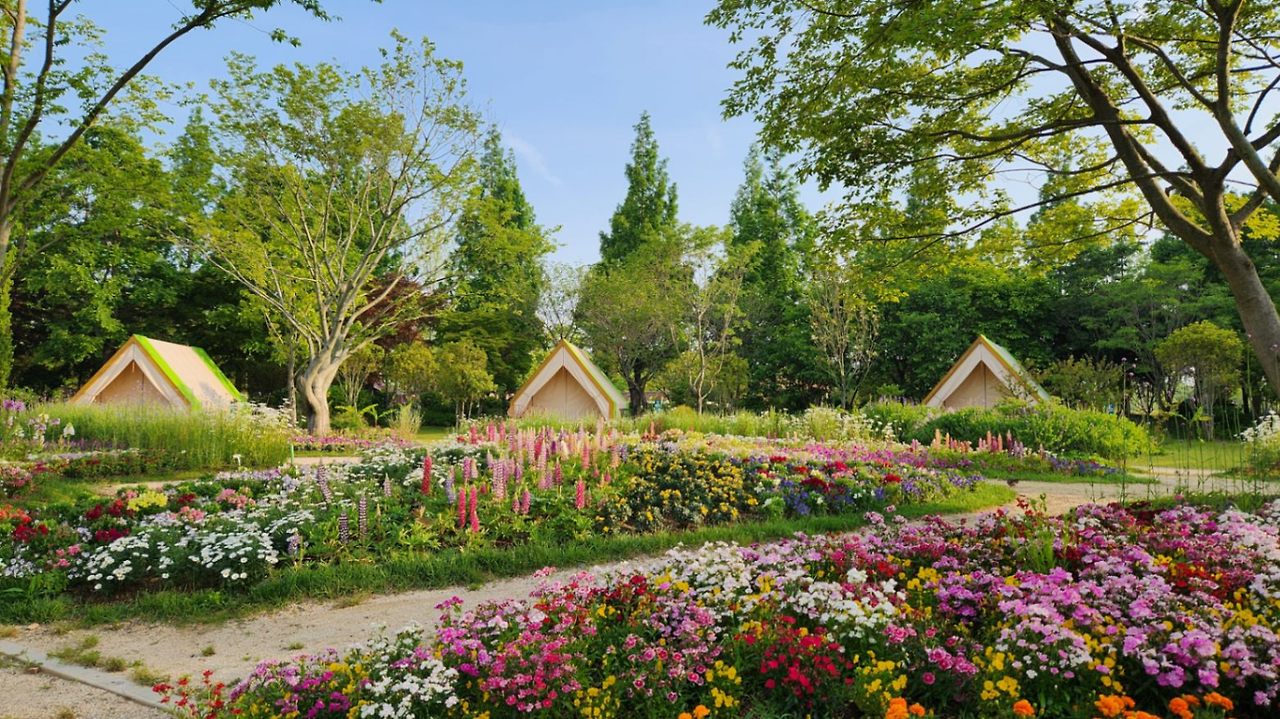 전남 워케이션, 순천만정원 워케이션
Suncheon Bay National Garden
