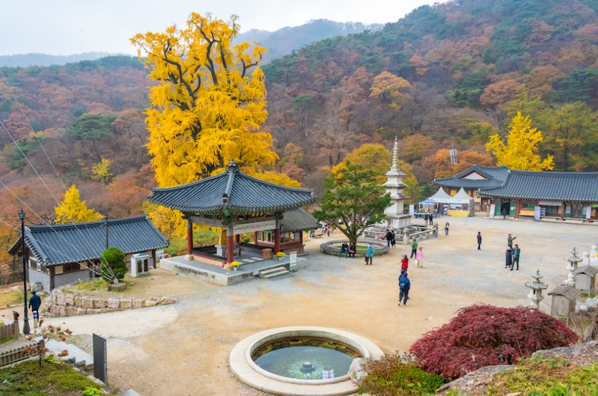 용문사